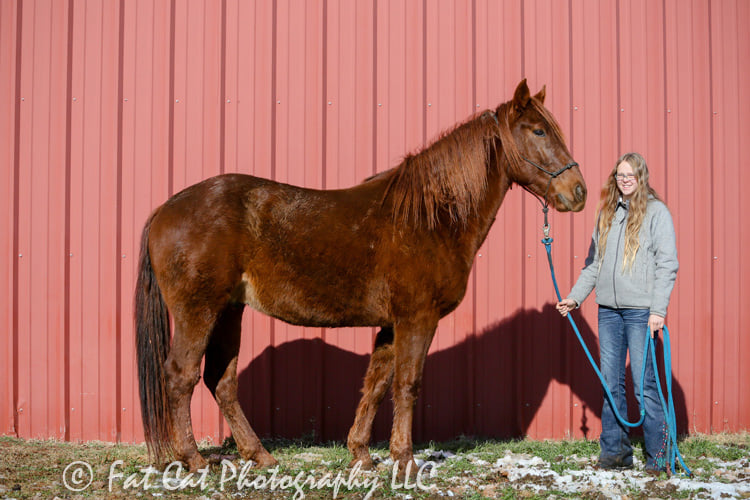 Irish Red